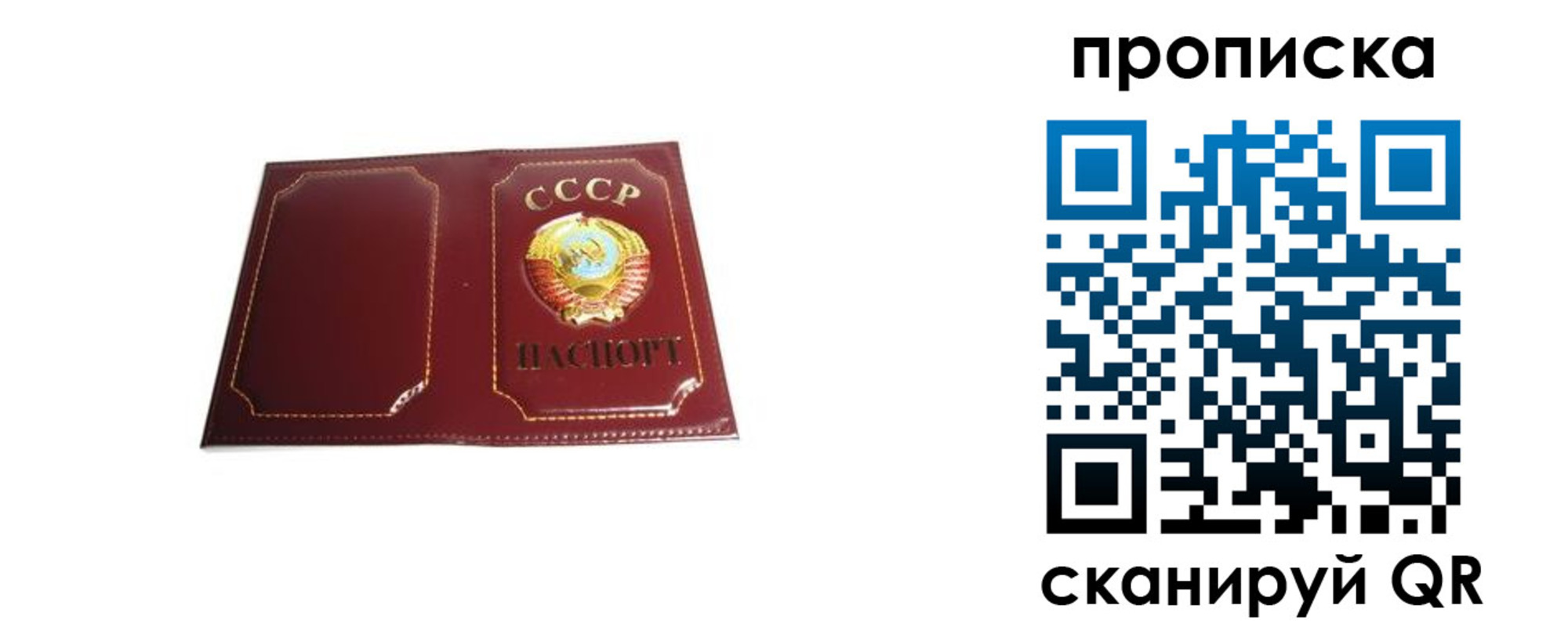 прописка гарантия в Сатке